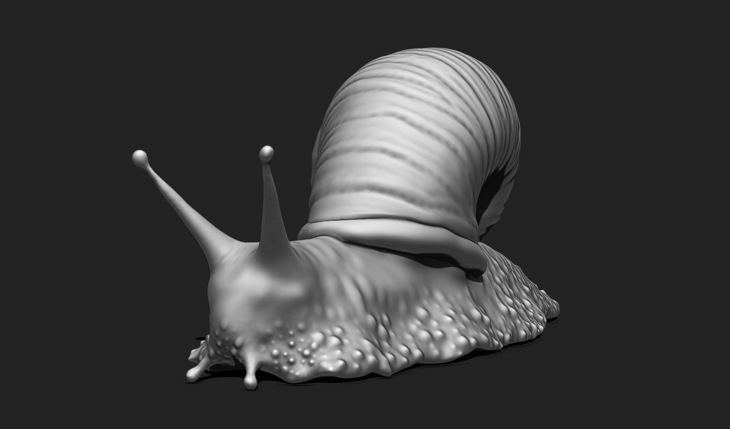 3D Snail 2 for Printing 3D print model_9