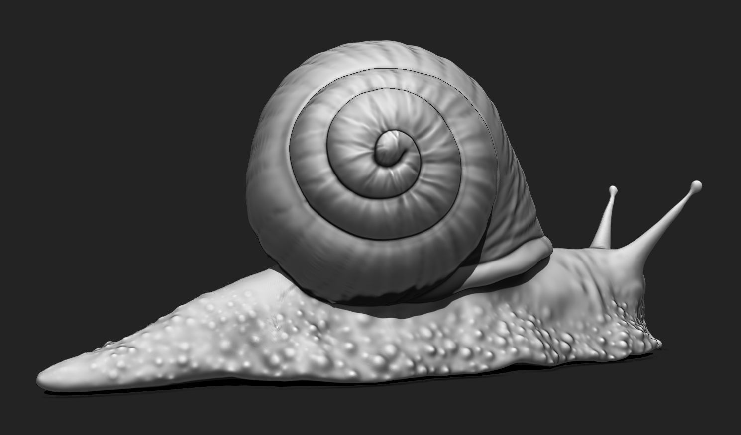 3D Snail 2 for Printing 3D print model_4