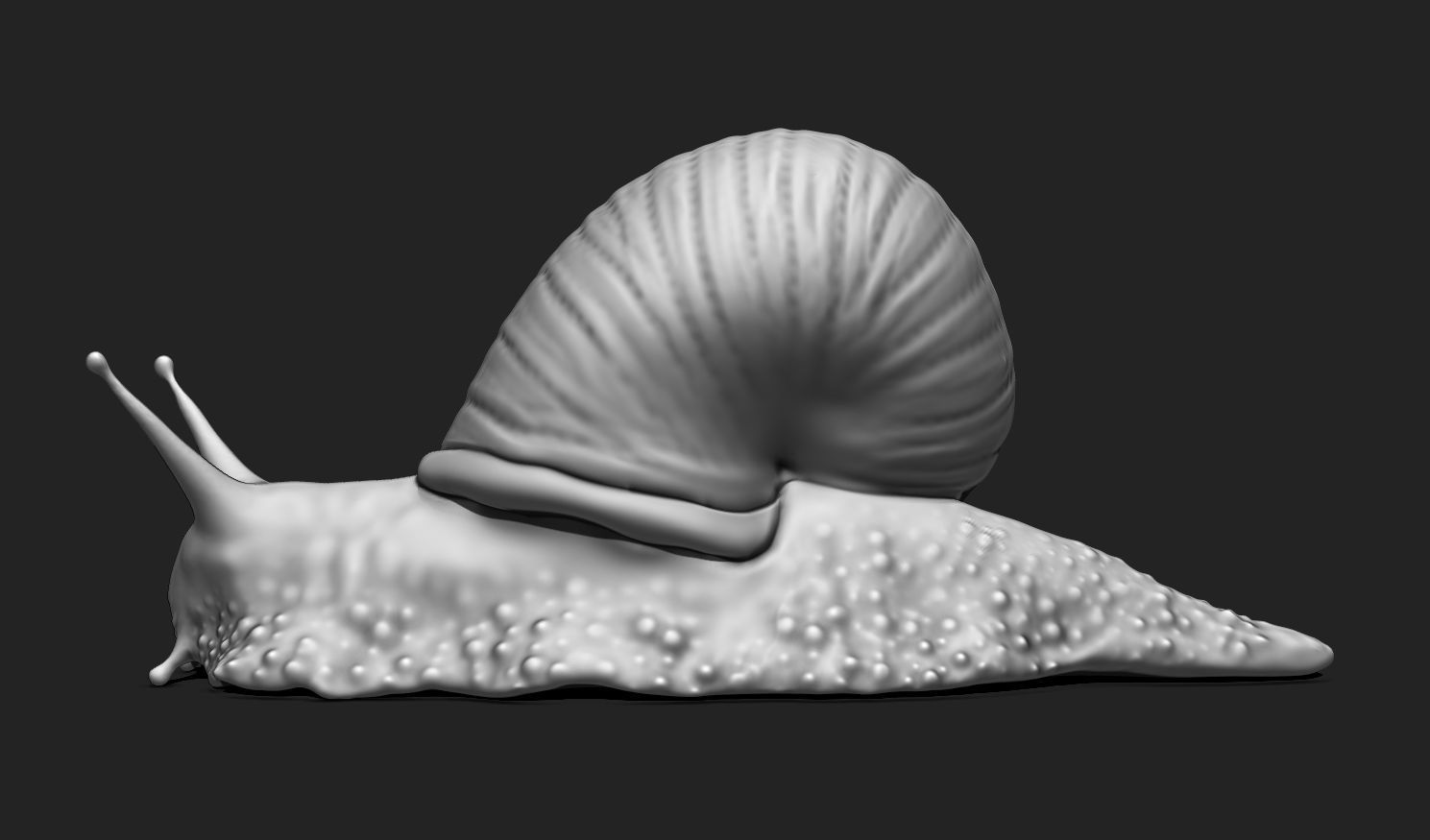 3D Snail 2 for Printing 3D print model_8