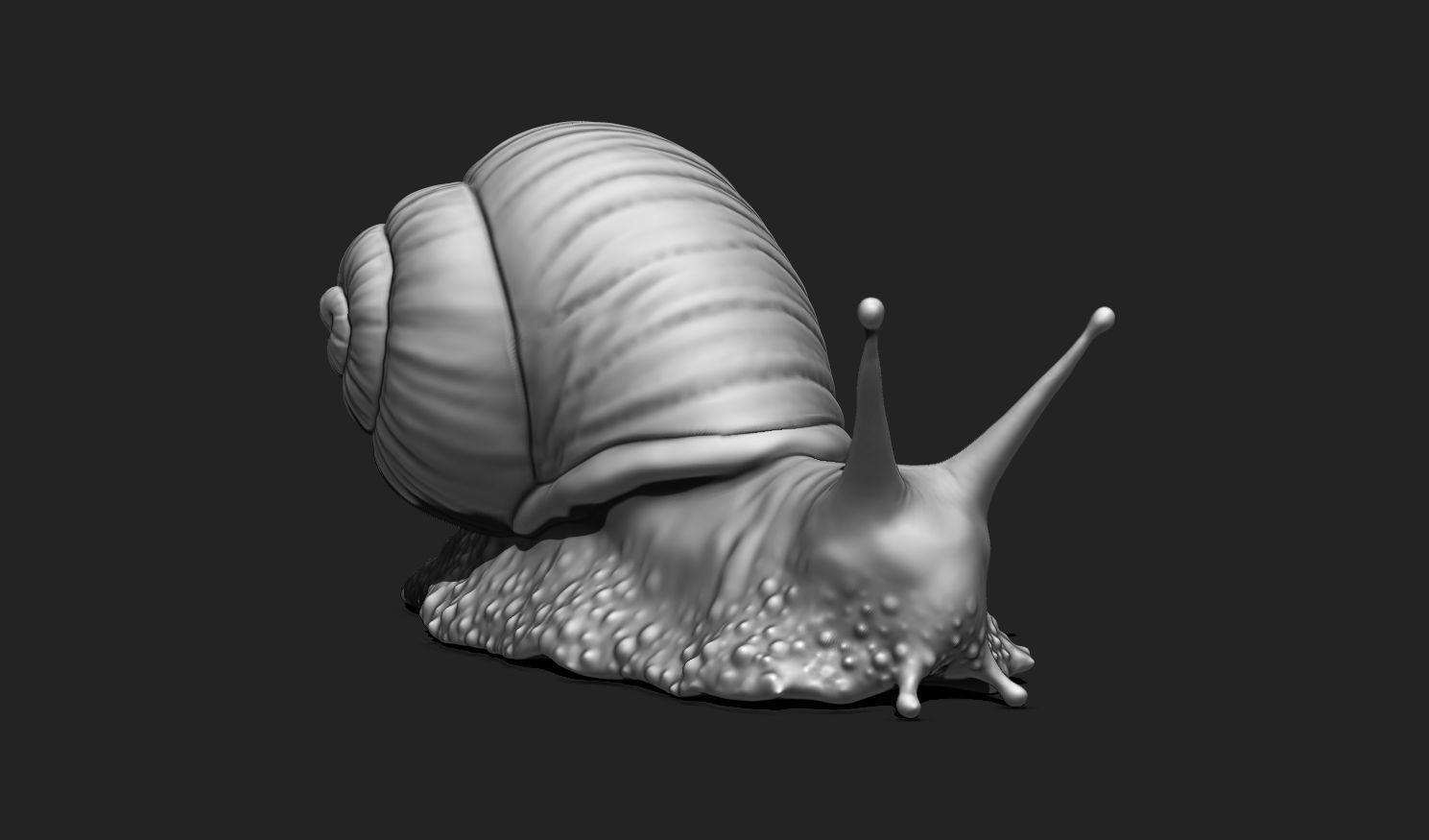 3D Snail 2 for Printing 3D print model_2