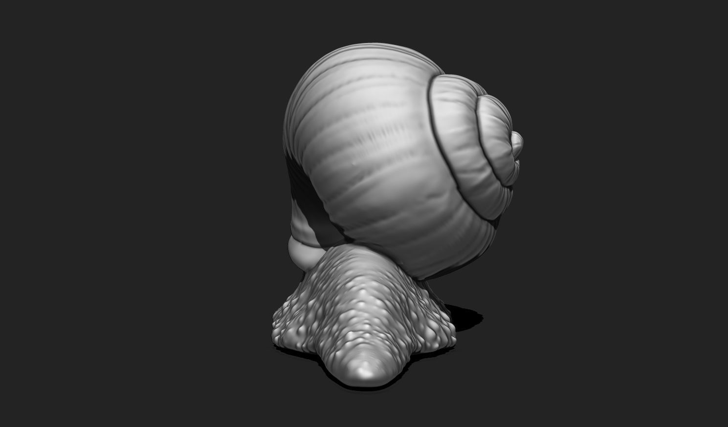 3D Snail 2 for Printing 3D print model_6