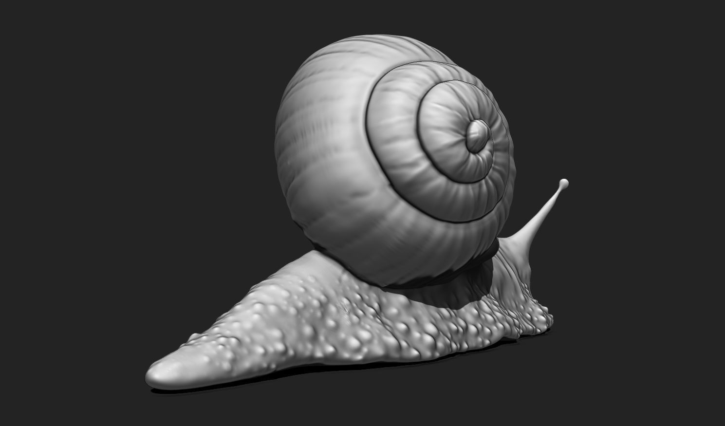 3D Snail 2 for Printing 3D print model_5