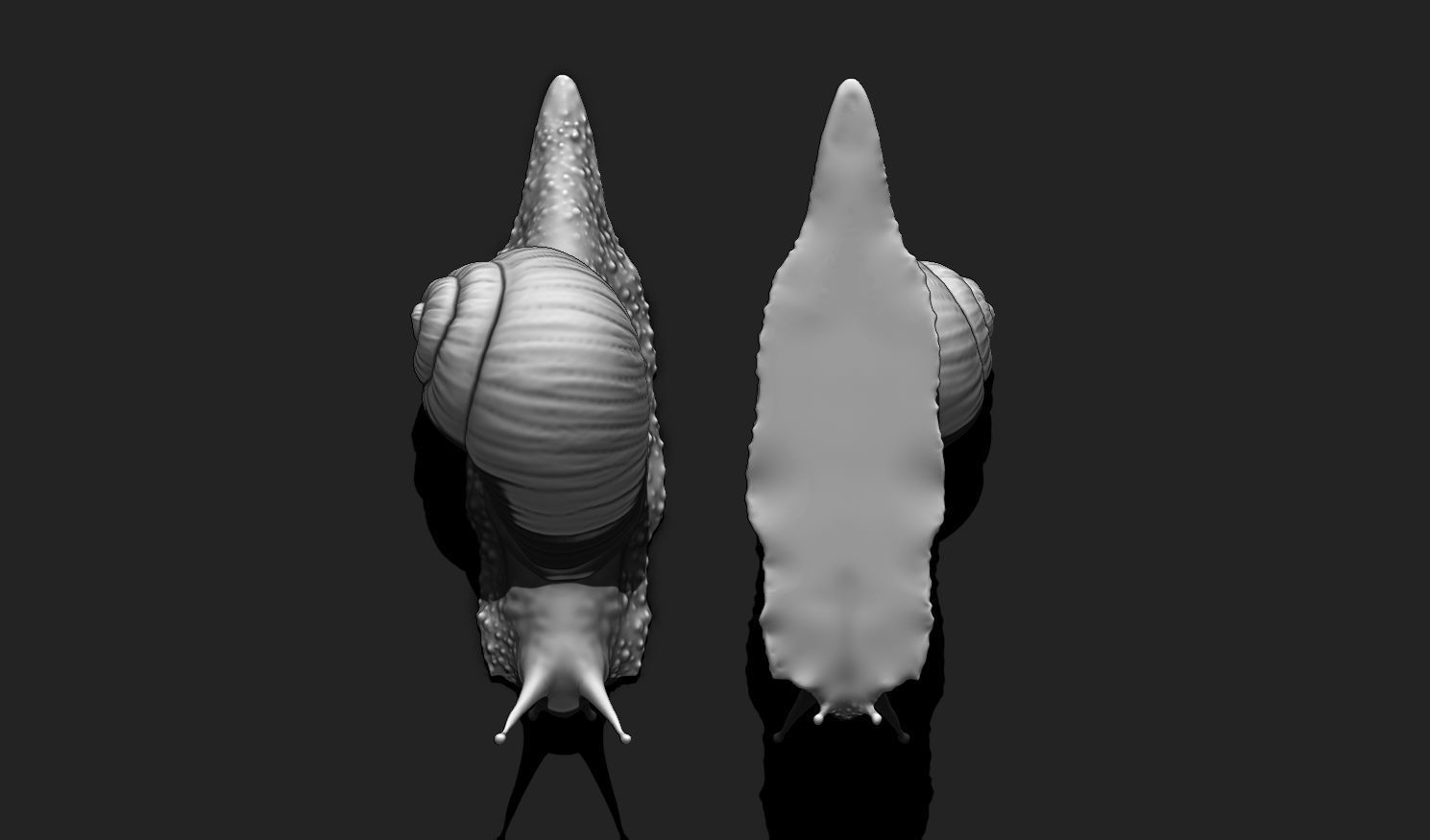 3D Snail 2 for Printing 3D print model_13
