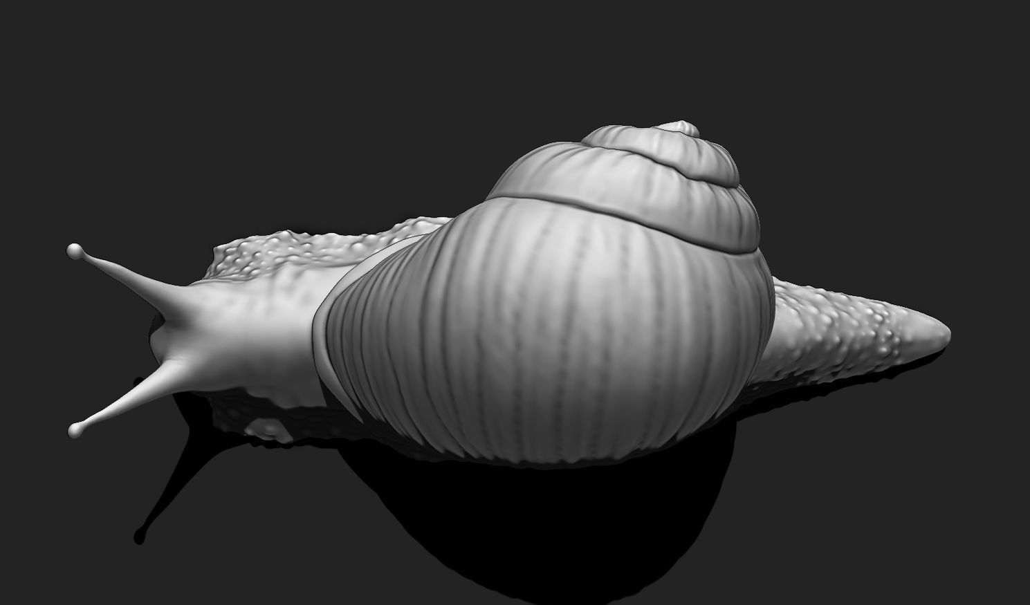 3D Snail 2 for Printing 3D print model_12