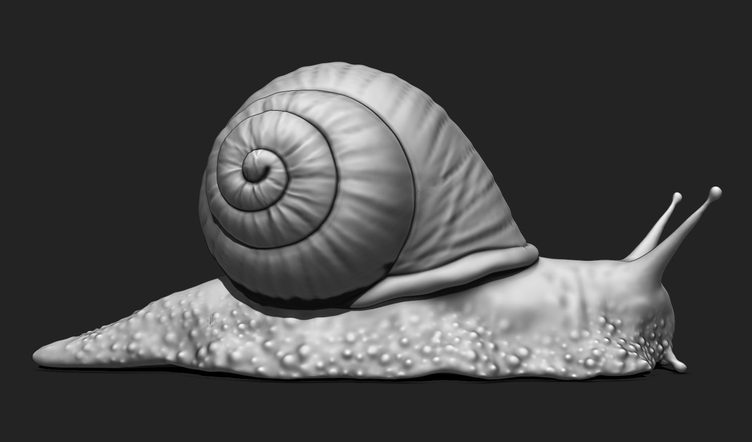 3D Snail 2 for Printing 3D print model_3