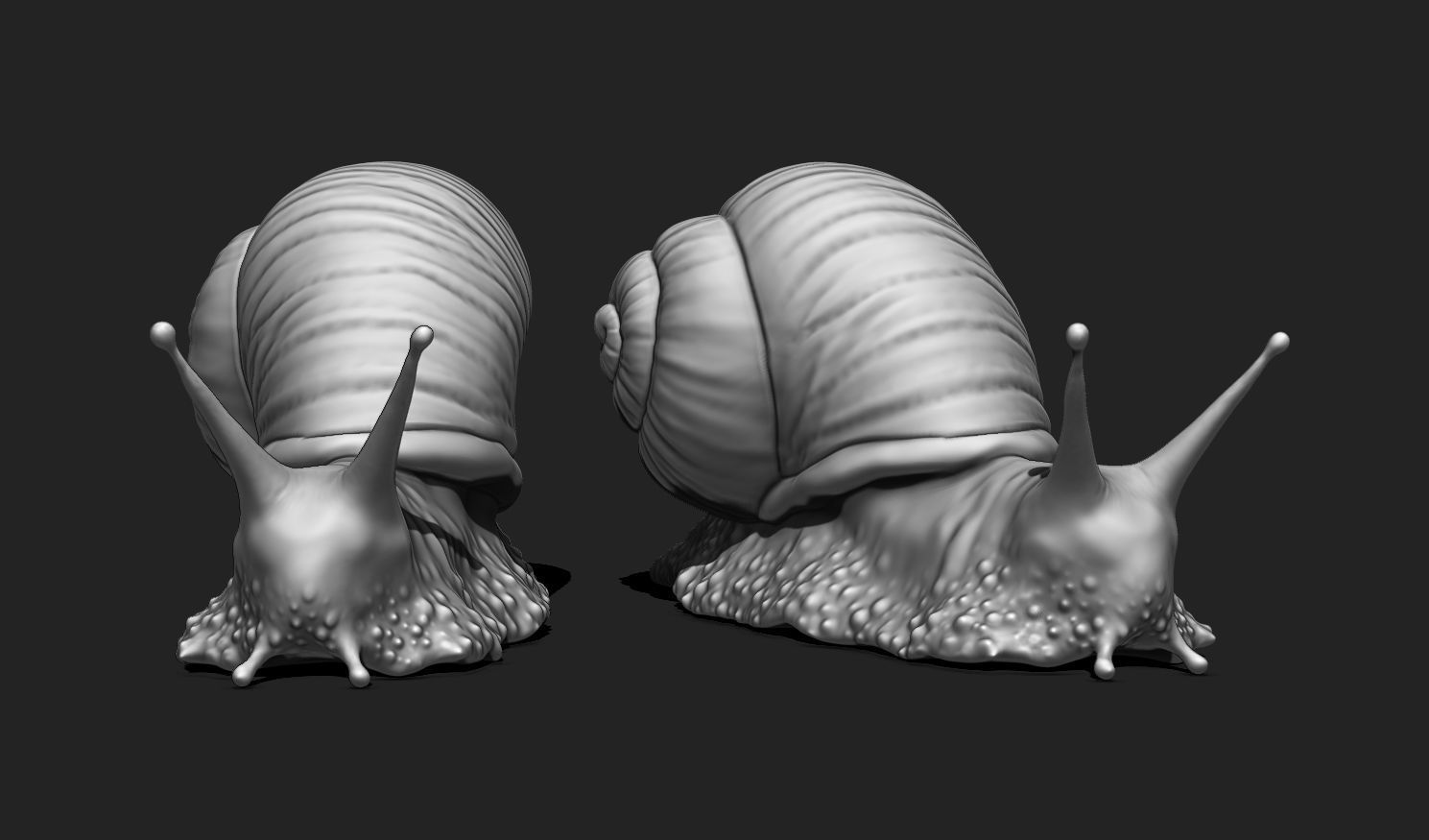 3D Snail 2 for Printing 3D print model_14