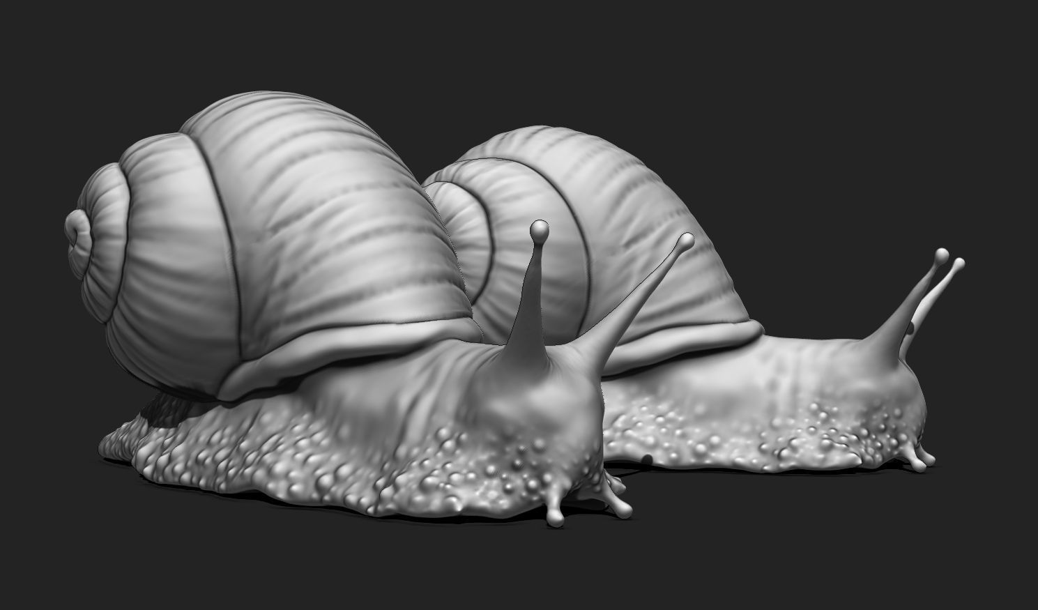 3D Snail 2 for Printing 3D print model_15