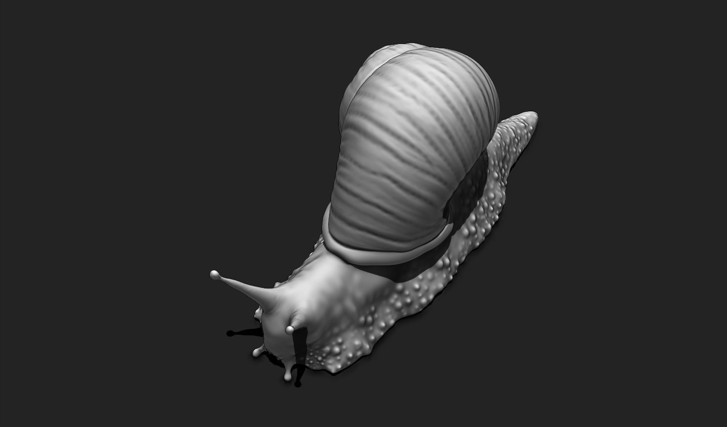 3D Snail 2 for Printing 3D print model_10