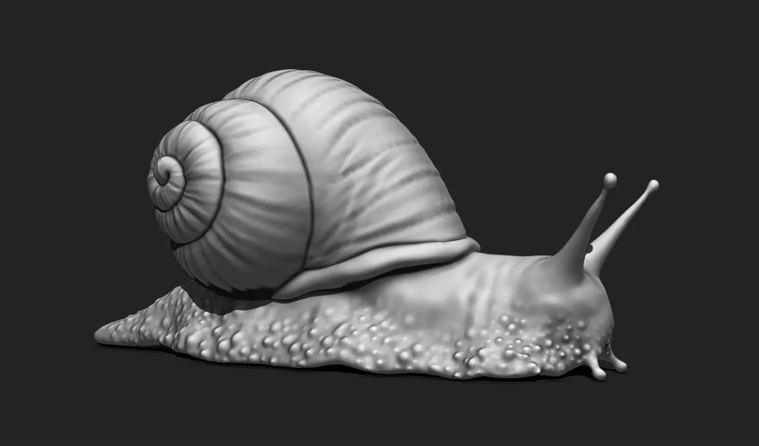 3D Snail 2 for Printing 3D print model_0