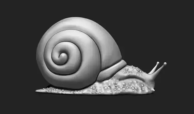 3D Snail 4 for Printing 3D print model