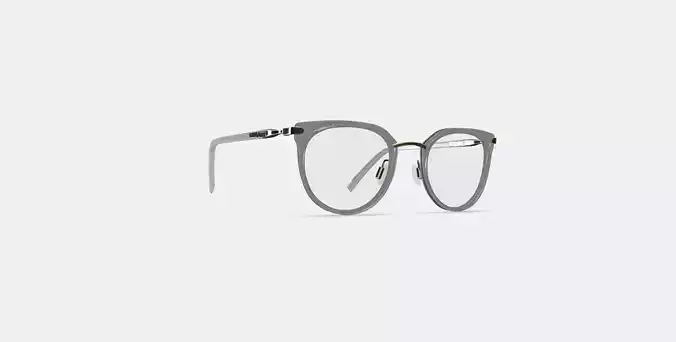 Whittier Eyeglasses in Soapstone with Riesling 3D model