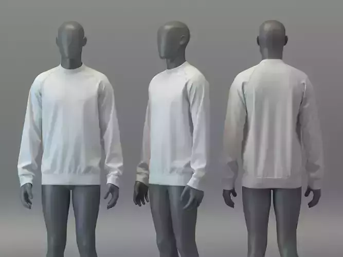 Crewneck Raglan Sweatshirt