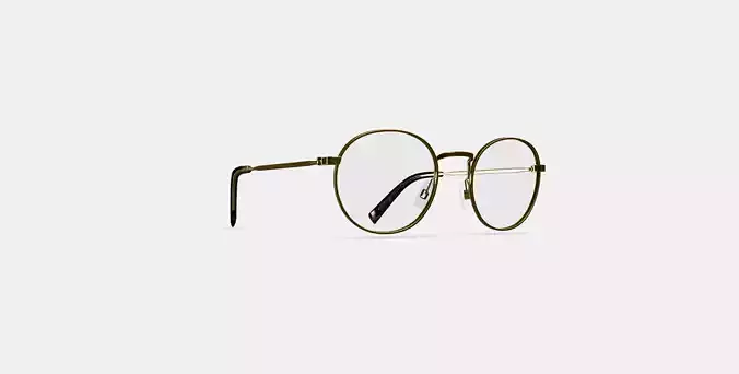 Simon Eyeglasses in Polished Gold 3D model