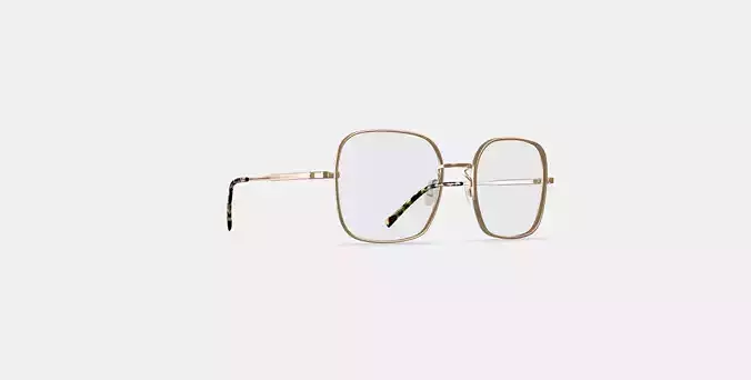 Aniyah Eyeglasses in Polished Gold 3D model