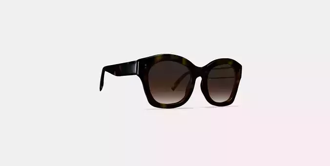 Gael Sunglasses in Cognac Tortoise
