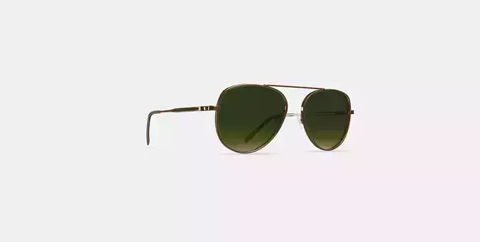 Belmar Sunglasses in Polished Gold 3D model