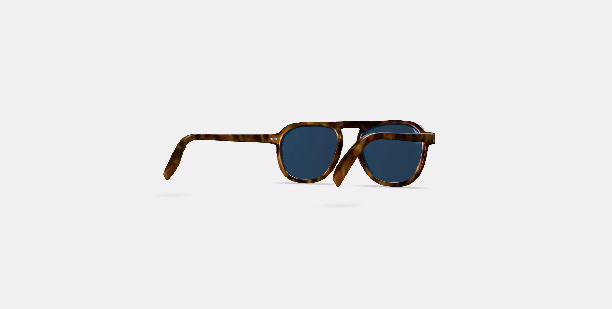 Blaise Sunglasses in Woodgrain Tortoise 3D model_0