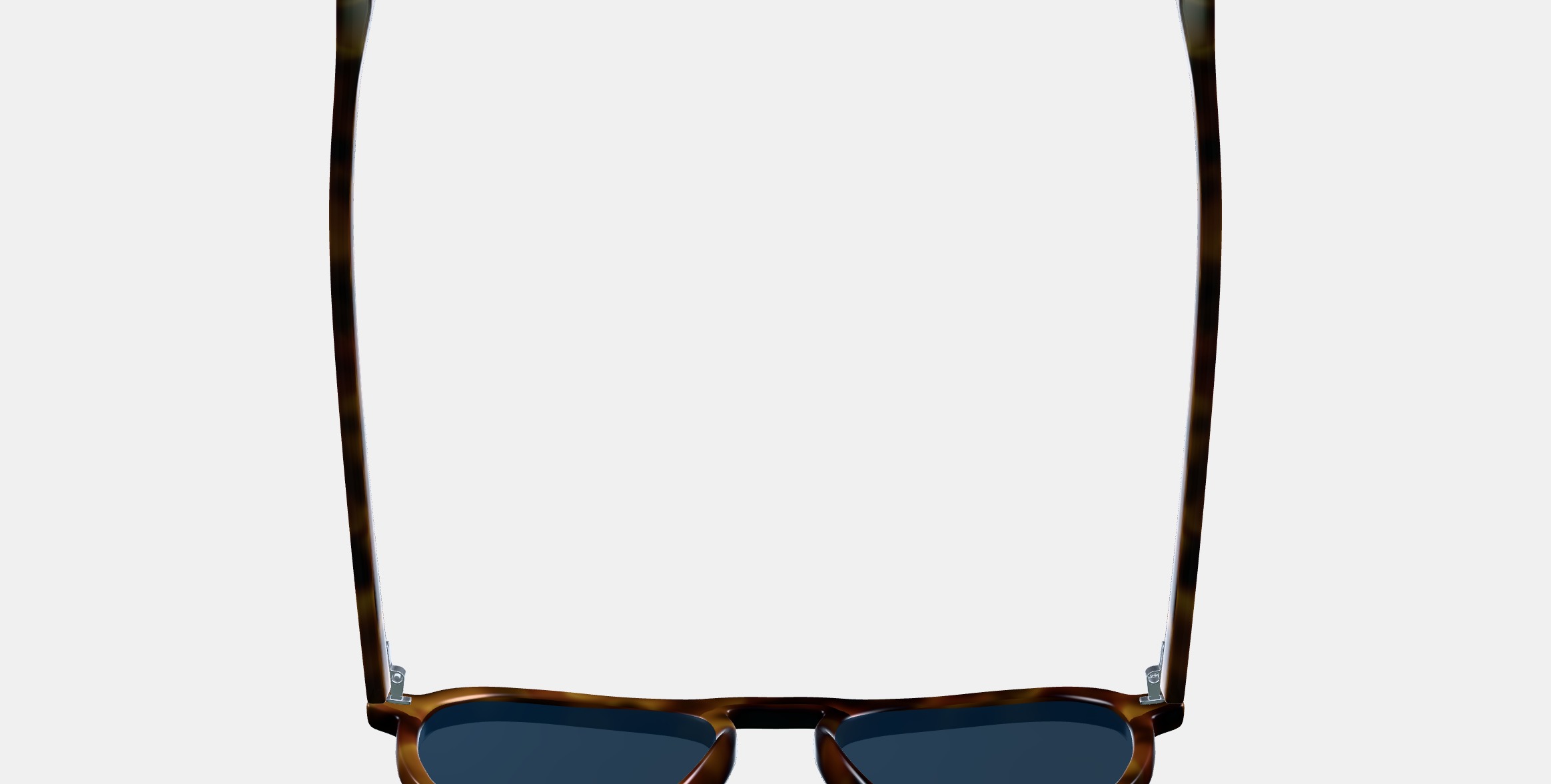 Blaise Sunglasses in Woodgrain Tortoise 3D model_5