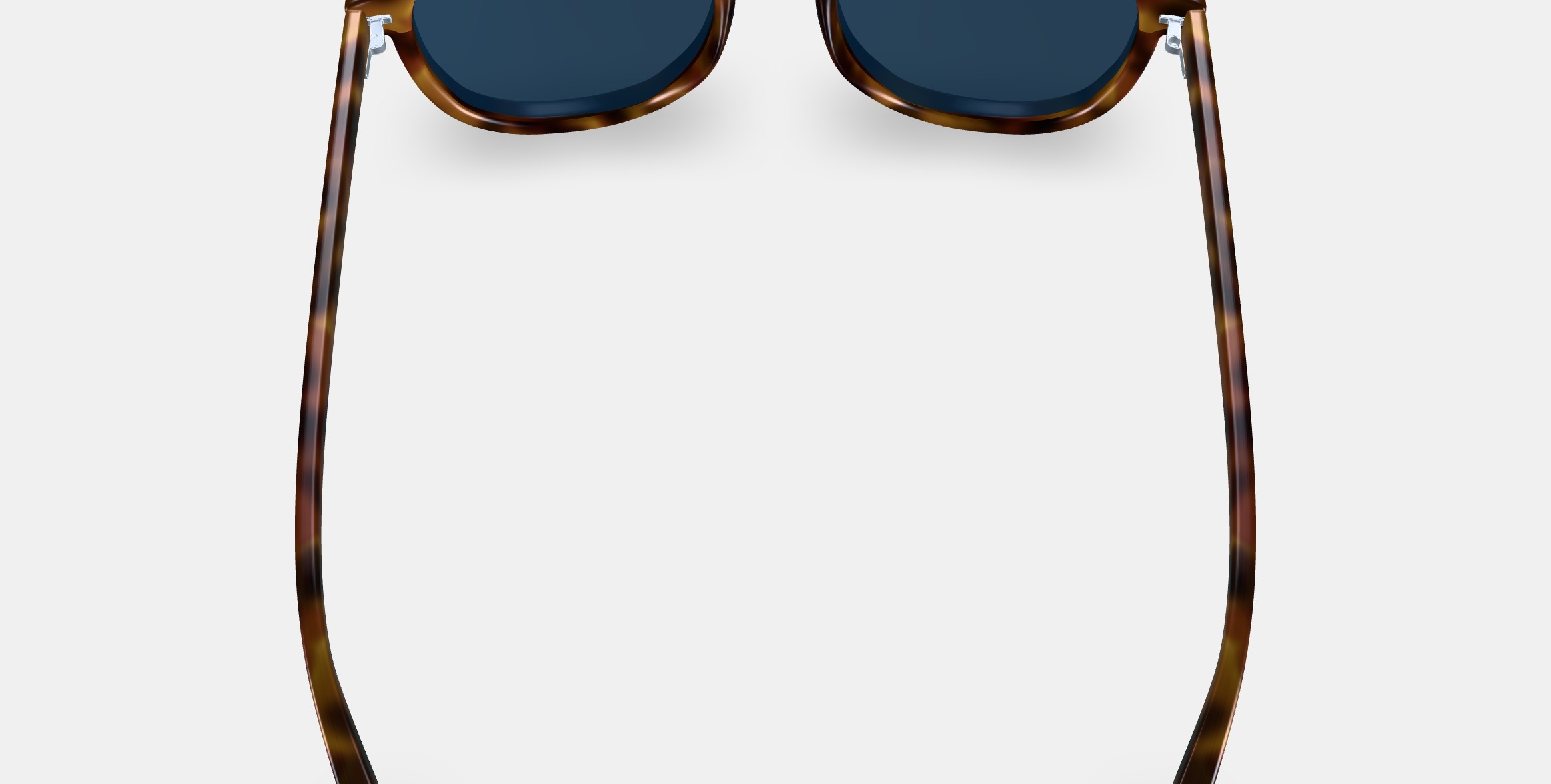 Blaise Sunglasses in Woodgrain Tortoise 3D model_6