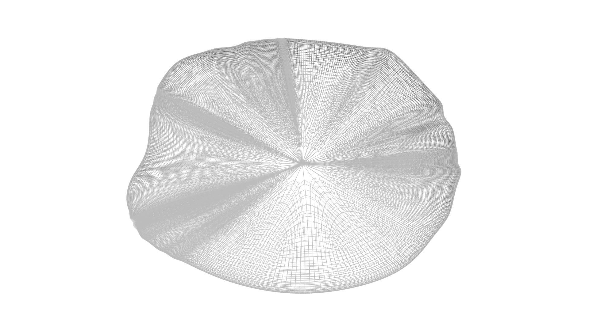 Grilled Tomato 3D model_28