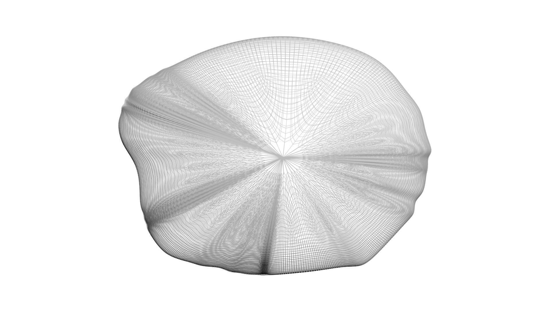 Grilled Tomato 3D model_31