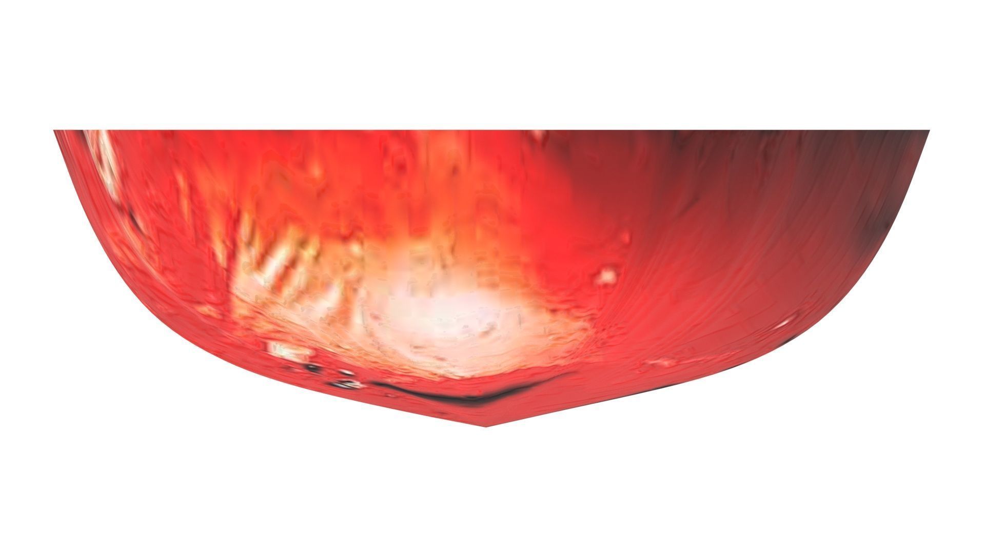 Grilled Tomato 3D model_18