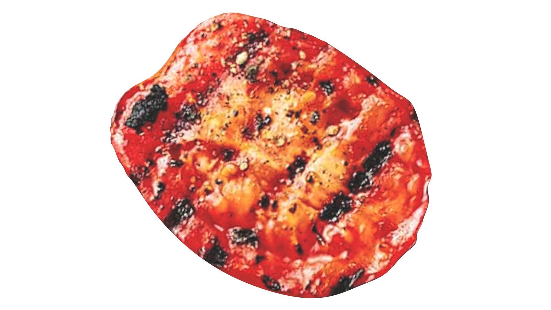 Grilled Tomato 3D model_11