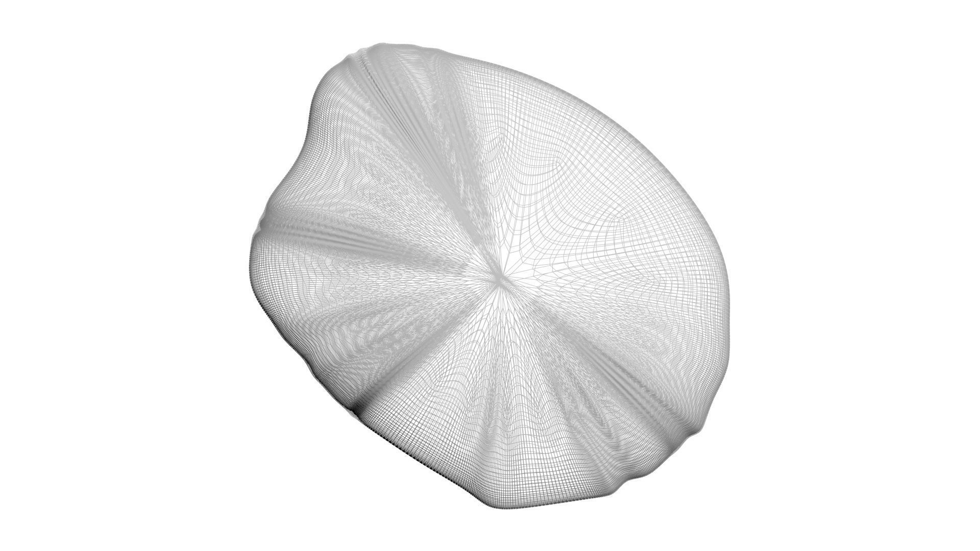 Grilled Tomato 3D model_26