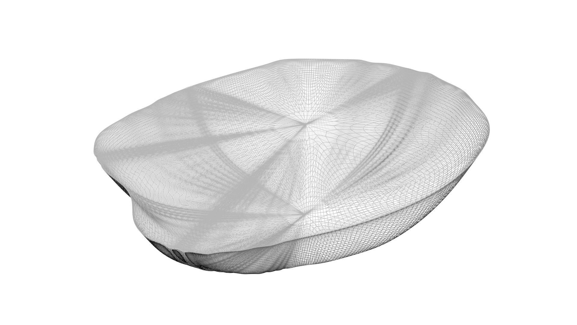 Grilled Tomato 3D model_27