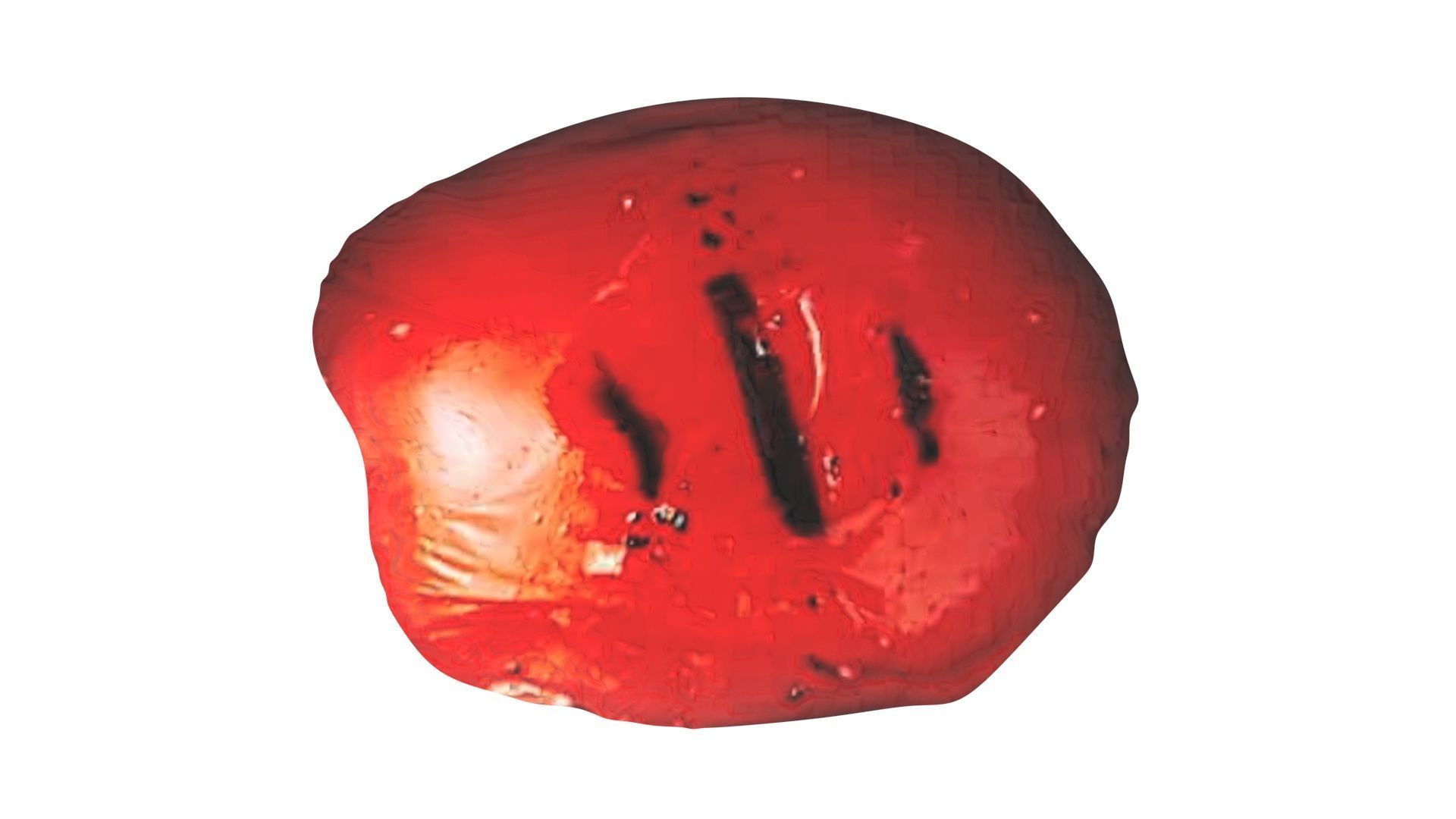 Grilled Tomato 3D model_19