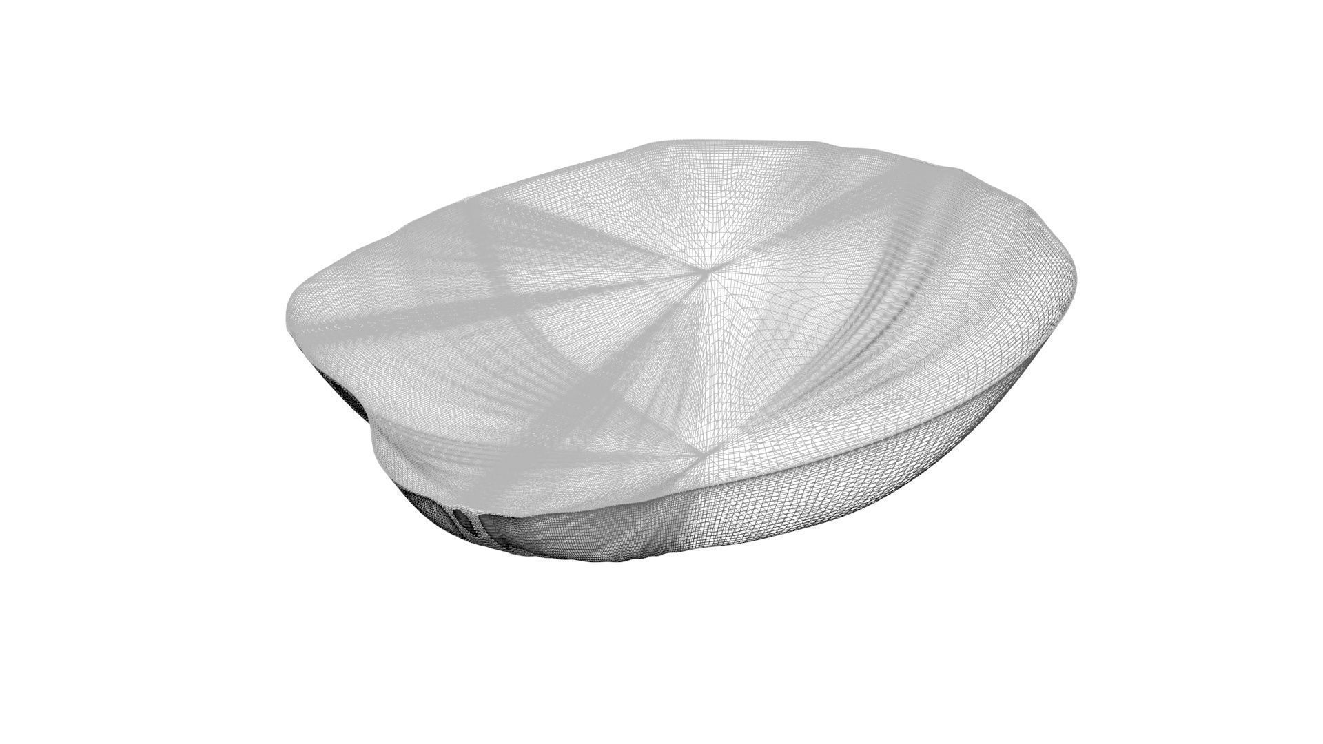 Grilled Tomato 3D model_22