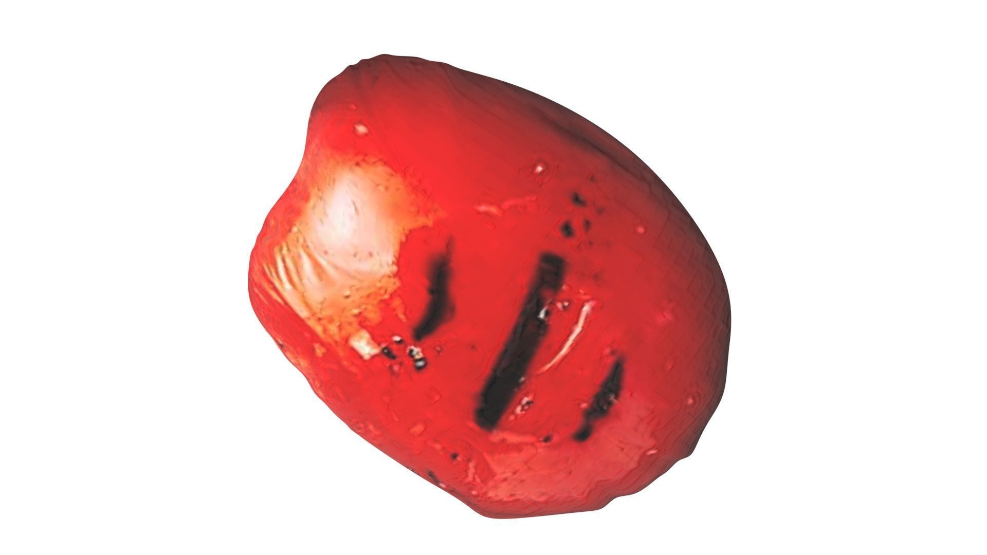 Grilled Tomato 3D model_14