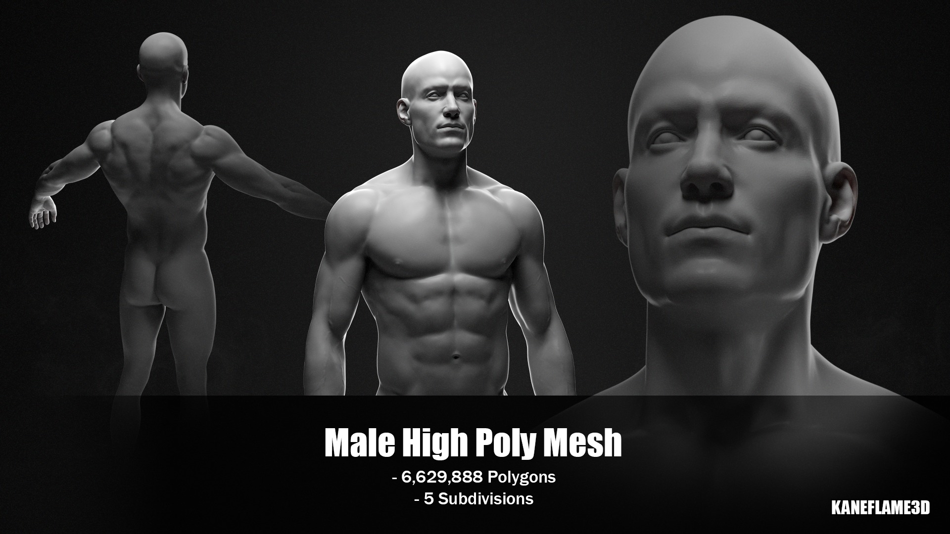 New High Quality Base Meshes For Sculpting 3D model_2