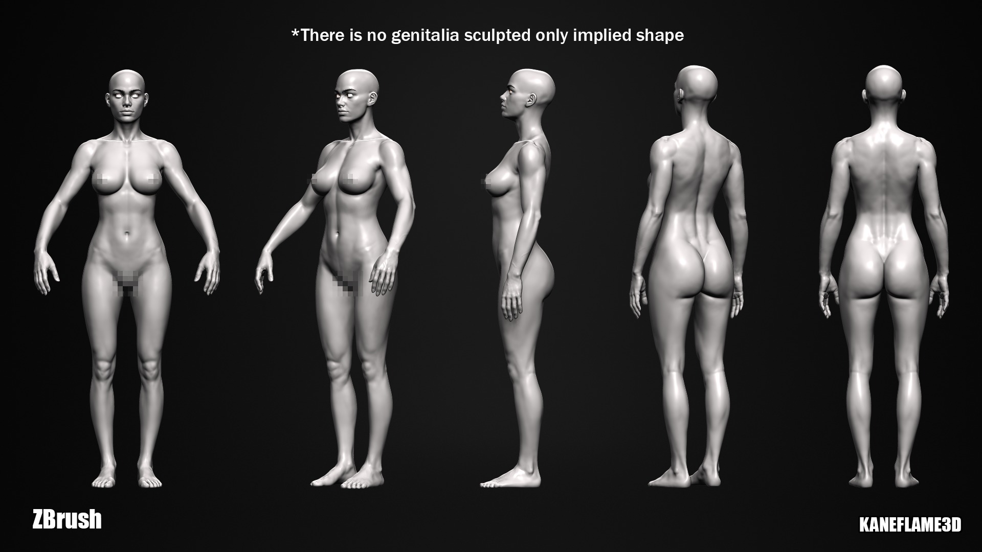 New High Quality Base Meshes For Sculpting 3D model_7