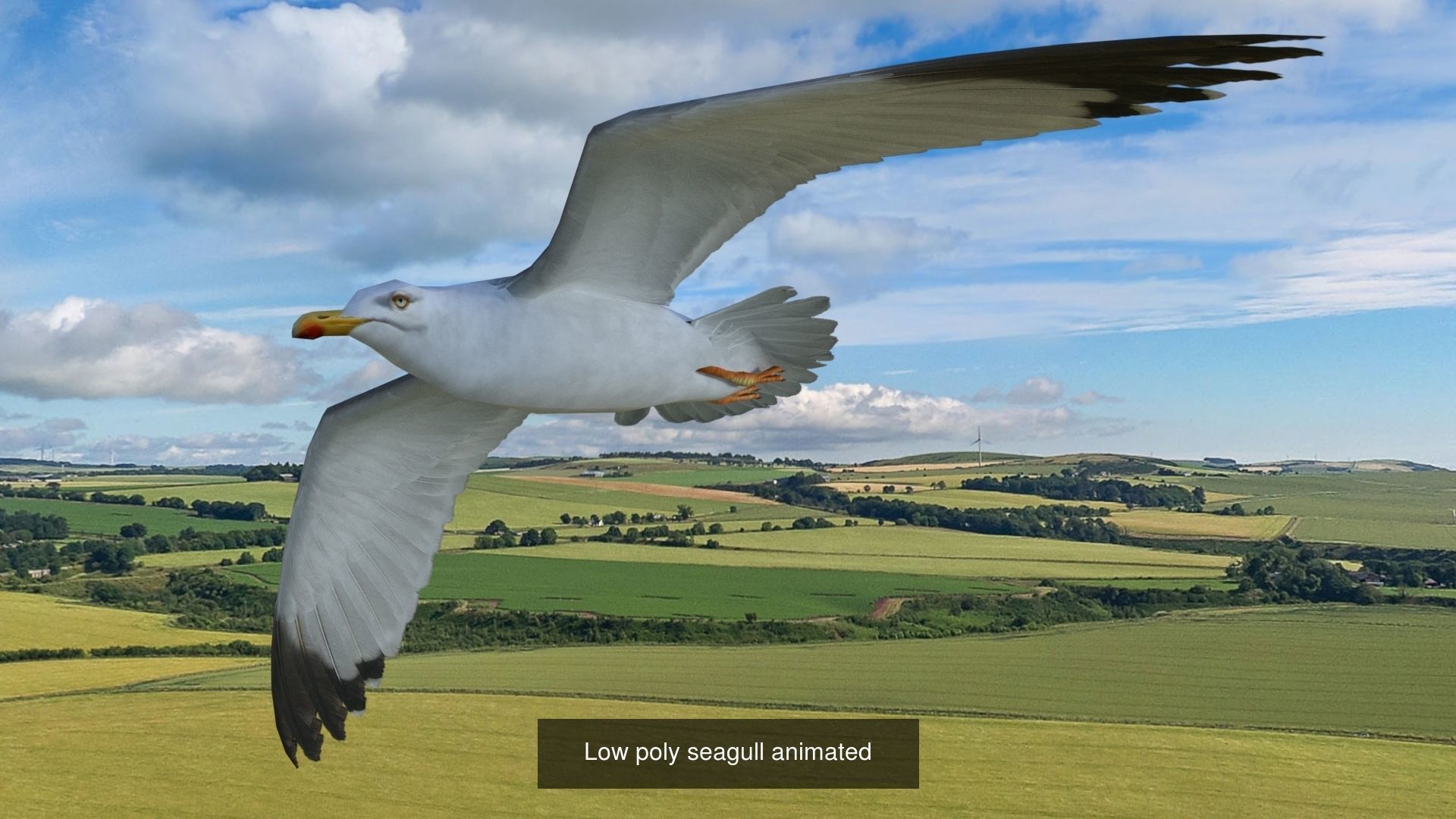 Fliying loop low poly eagle bat sparrow crow and seagull 3D Model Collection_5