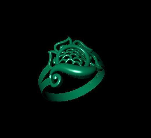 Rings 3D print model_2