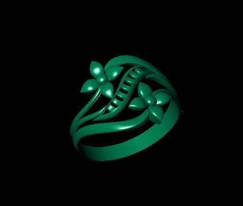 Rings 3D print model_2
