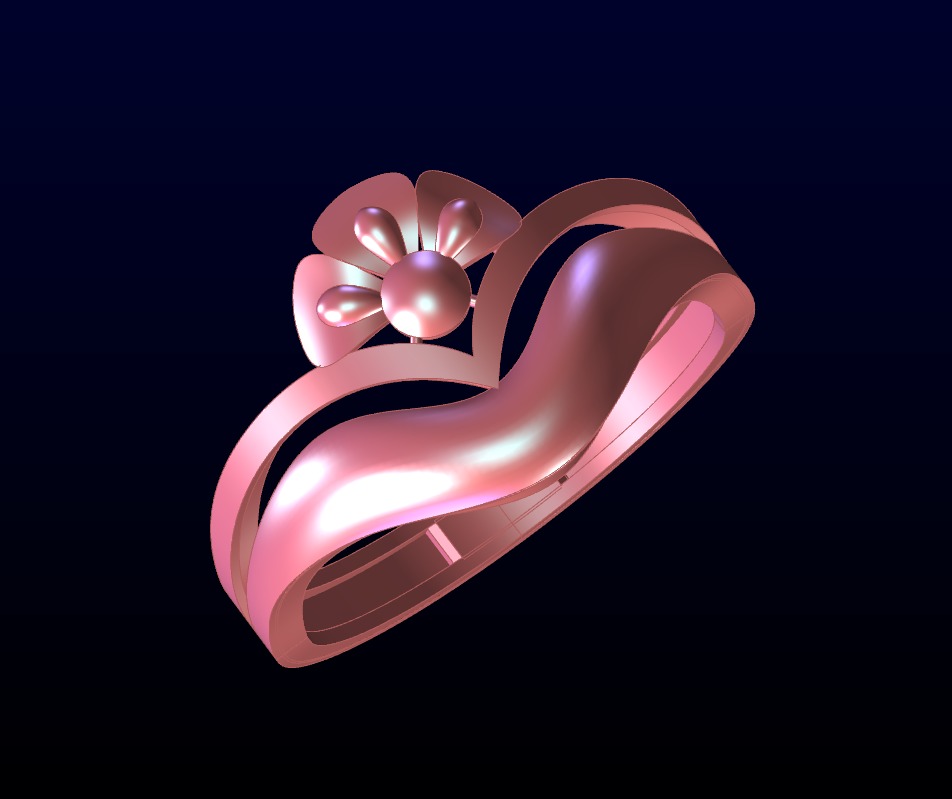 Plan Rings 3D print model_12