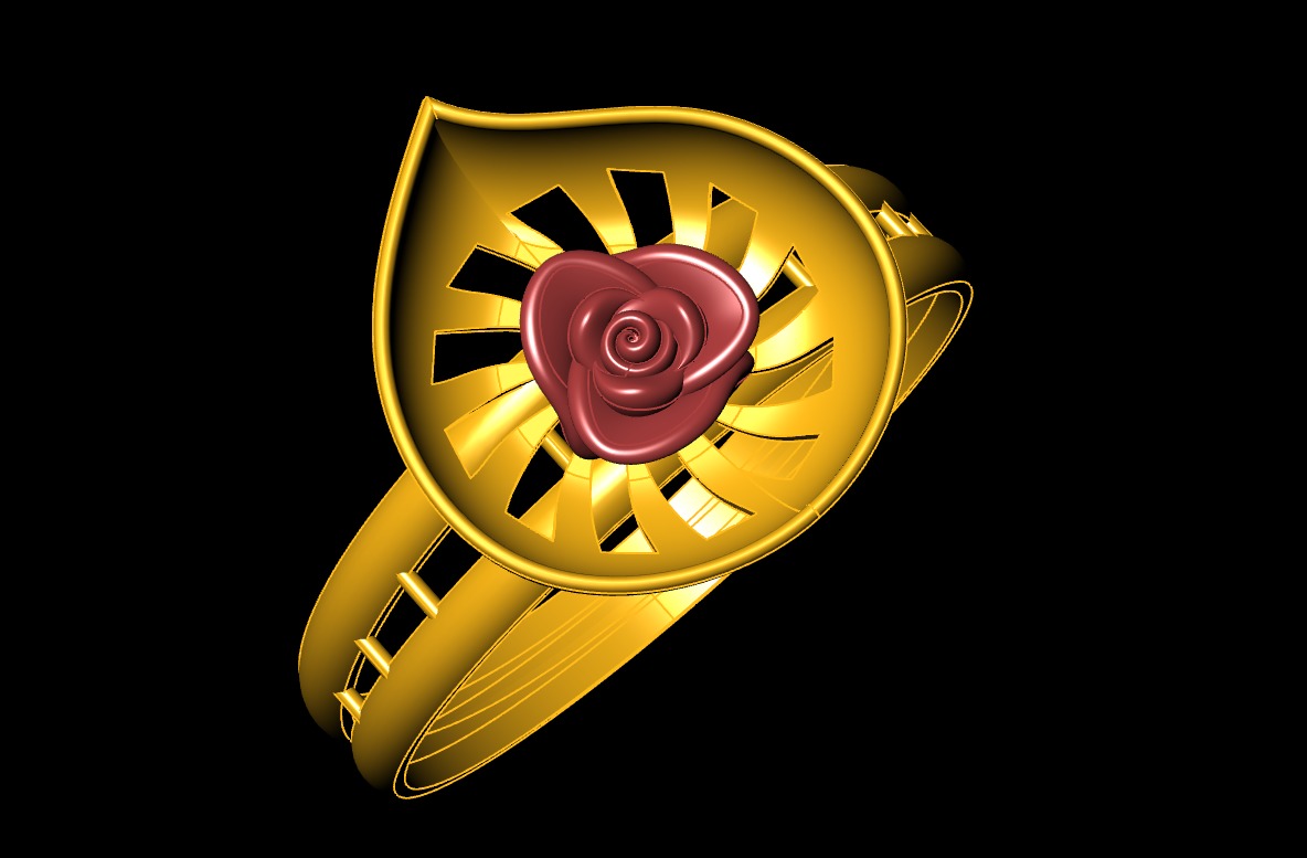 Plan Rings 3D print model_48