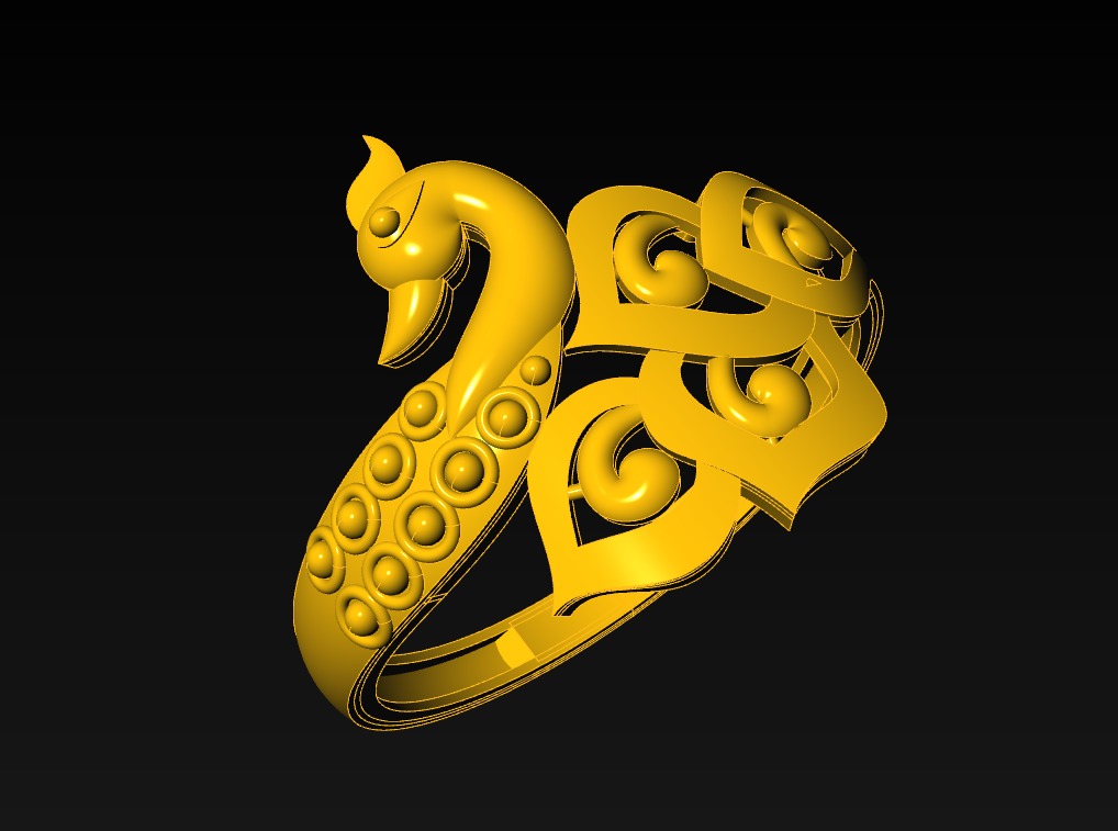 Plan Rings 3D print model_42