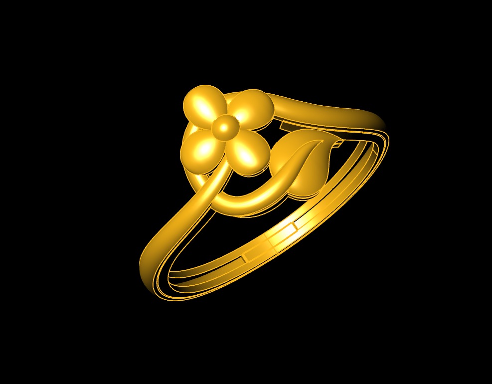 Plan Rings 3D print model_26