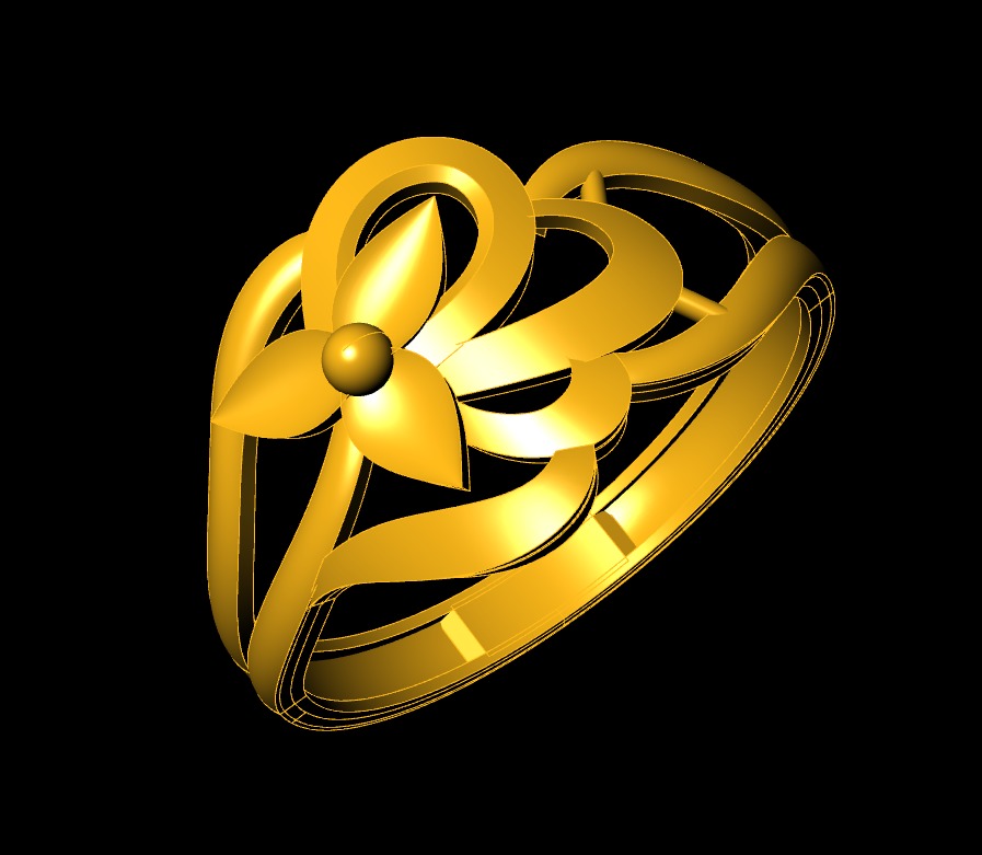 Plan Rings 3D print model_51