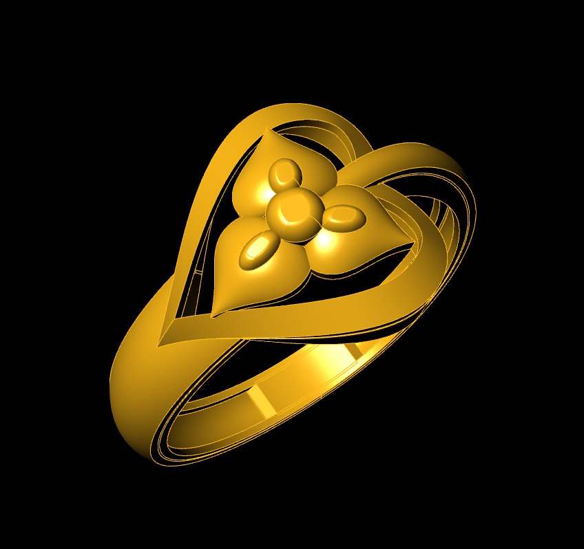 Plan Rings 3D print model_22
