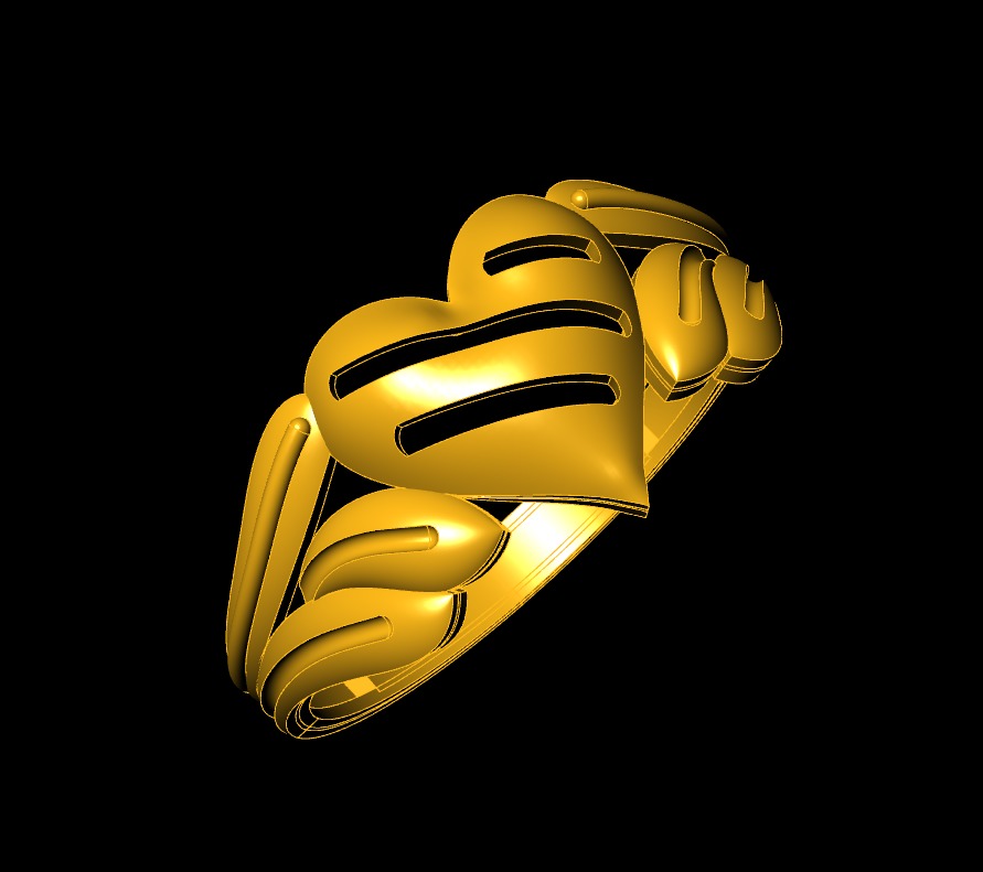 Plan Rings 3D print model_6