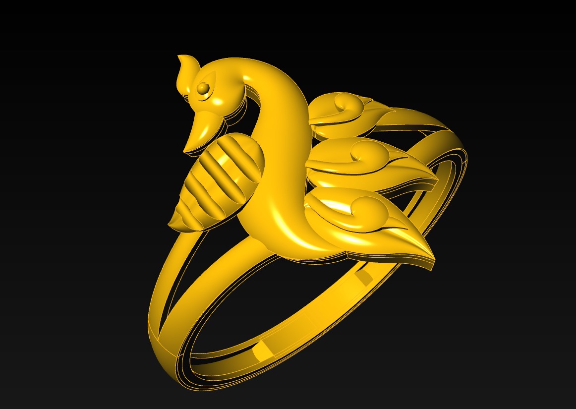 Plan Rings 3D print model_38