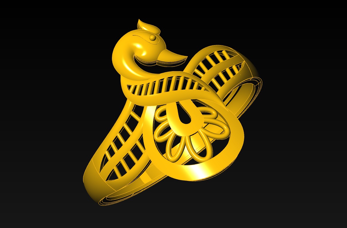 Plan Rings 3D print model_37