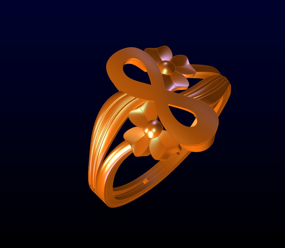 Plan Rings 3D print model_15