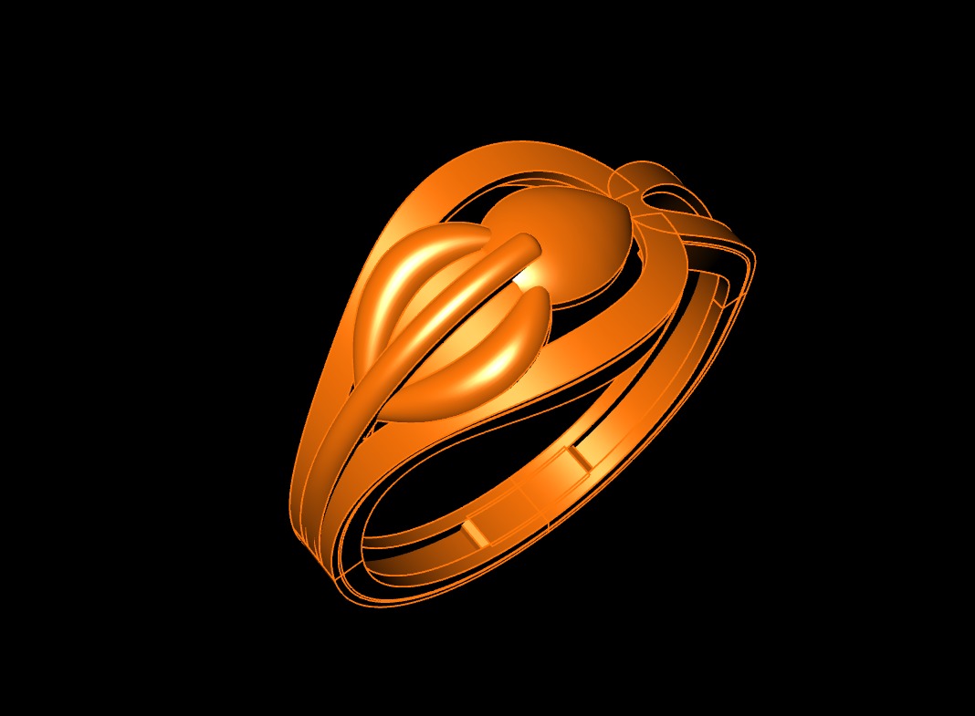 Plan Rings 3D print model_25