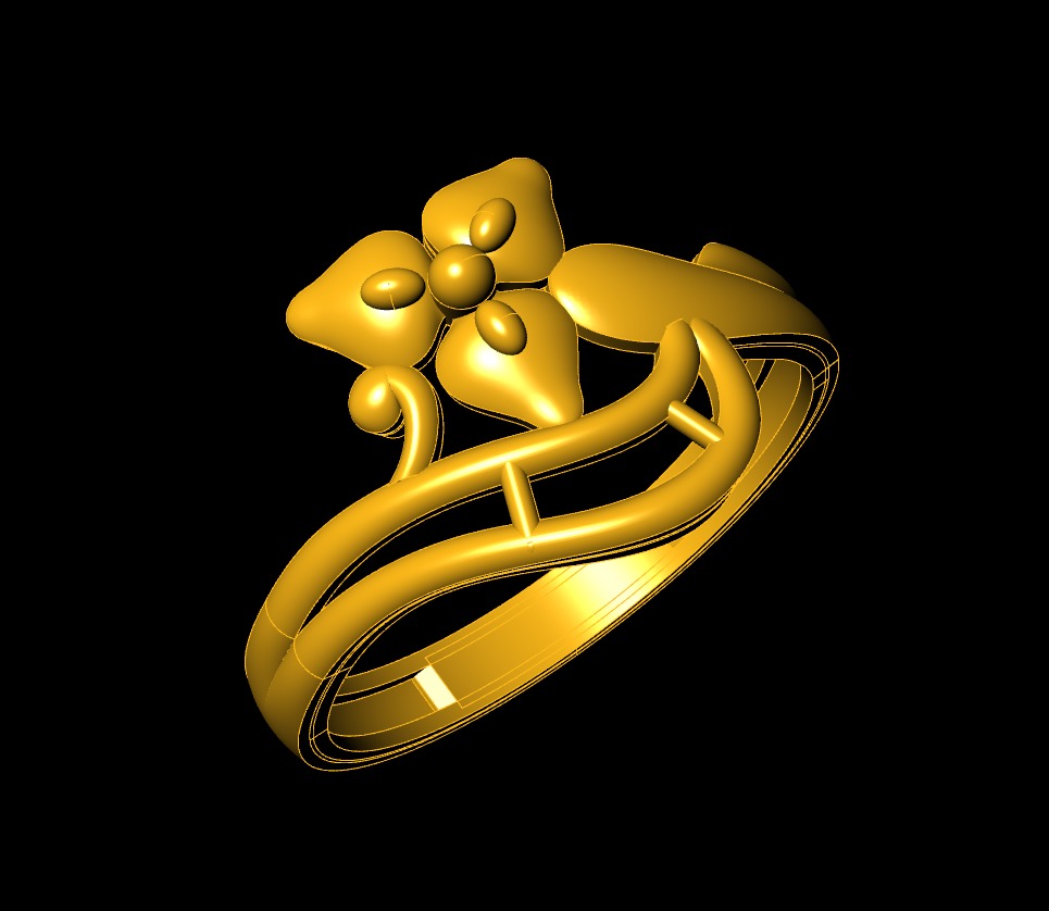 Plan Rings 3D print model_53