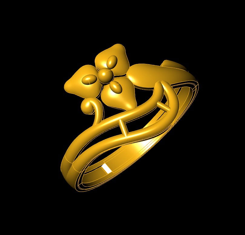 Plan Rings 3D print model_2